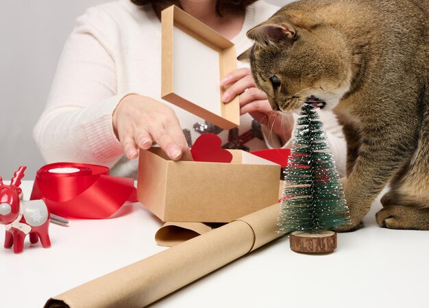 Le chat gris adulte ronge un arbre de Noël miniature, derrière une femme emballe des cadeaux