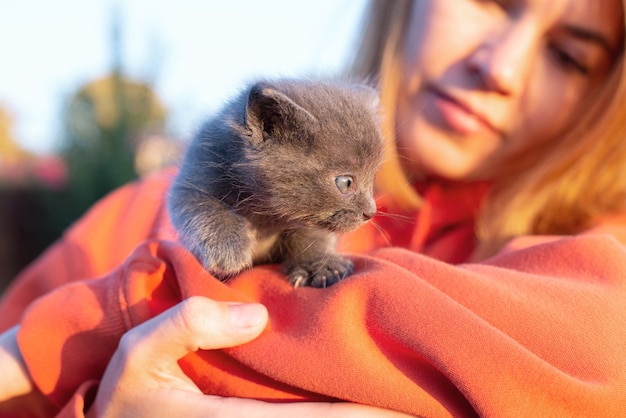 Chat gris dans les mains. Chaton souriant assis dans la poche de vêtements orange. Copier l'espace