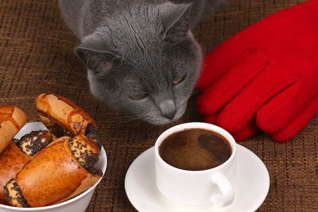 Chat gris reniflant une tasse de café noir blanc