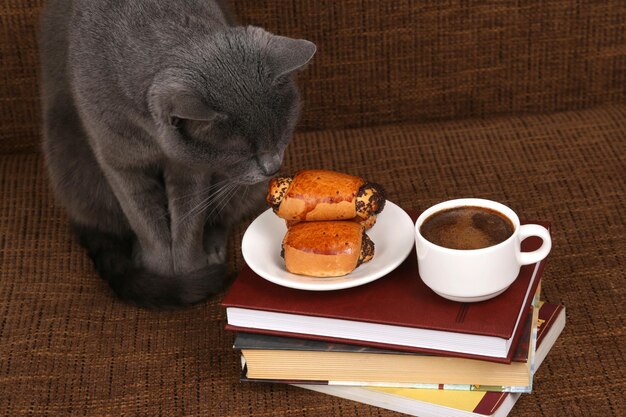 Le chat gris sent les rouleaux avec des graines de pavot et une tasse blanche de café noirxA