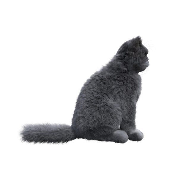 chat isolé sur fond blanc, illustration 3D, rendu cg