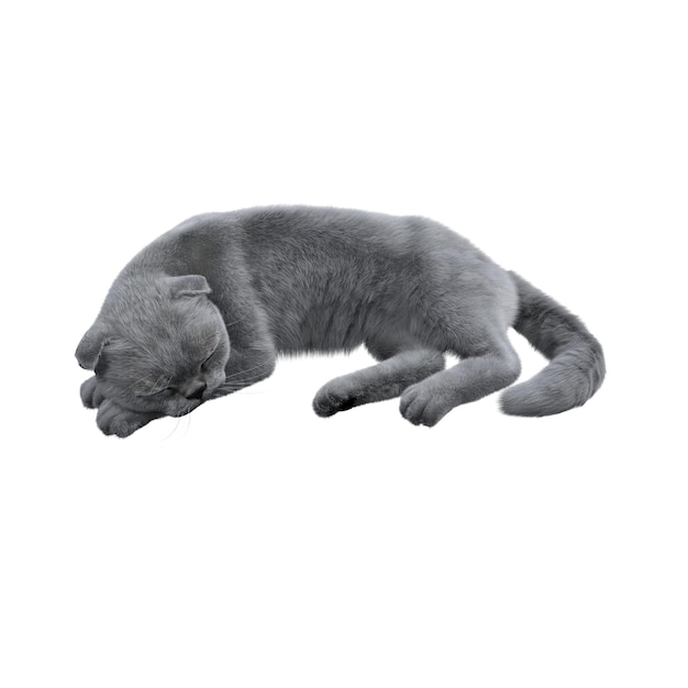 chat isolé sur fond blanc, illustration 3D, rendu cg