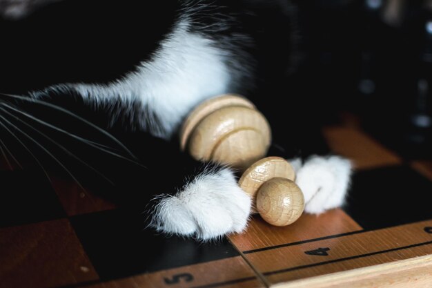 Un chat joue avec un jeu d'échecs en bois.