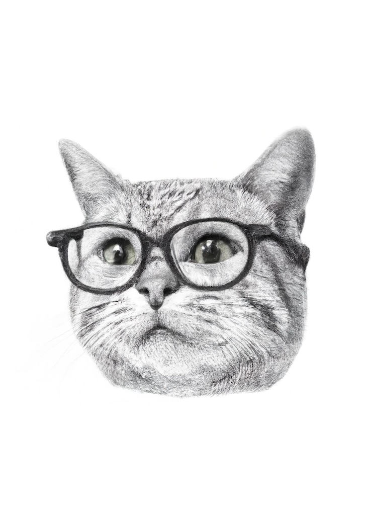 Photo chat avec des lunettes dessin au crayon