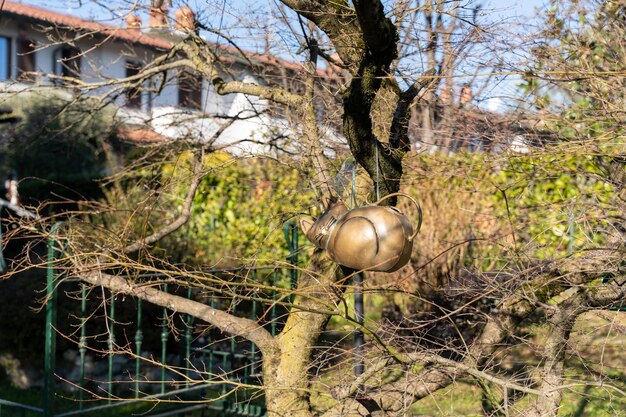 Un chat en métal est accroché à une branche d'arbre.