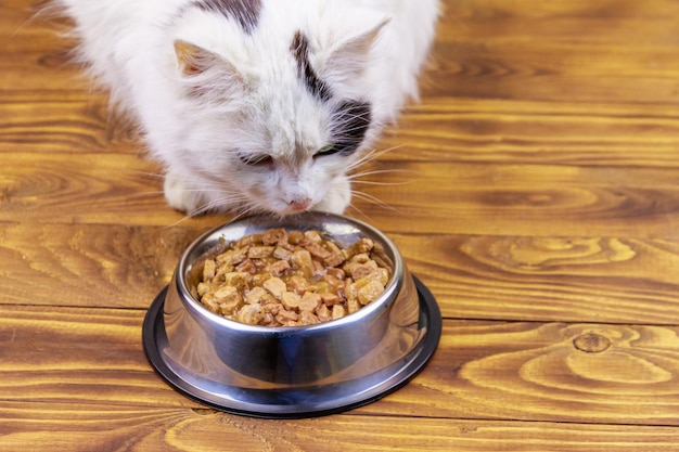 Chat mignon mangeant sa nourriture dans un bol en métal sur un plancher en bois