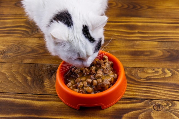 Chat mignon mangeant sa nourriture dans un bol en plastique orange sur un plancher en bois