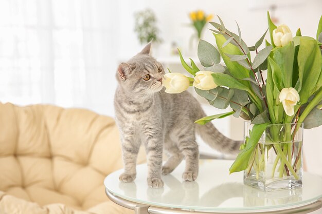 Chat mignon et vase avec des fleurs sur la table dans une pièce lumineuse