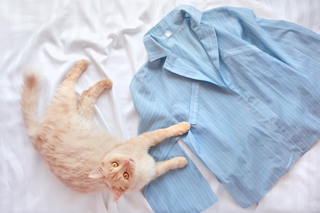 Chat moelleux rouge allongé sur le lit avec un pyjama.