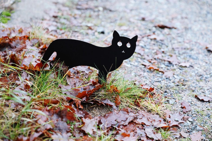 Photo un chat noir allongé sur un champ