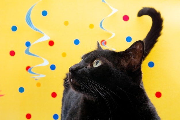 Chat noir sur fond jaune fête de carnaval