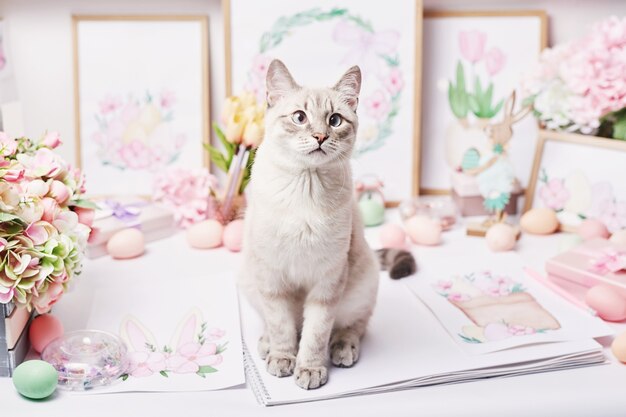 Chat de Pâques avec des œufs et des fleurs. Chaton gris assis sur la table. Carte de voeux de printemps Joyeuses Pâques. Décor de Pâques. Peintures de printemps aquarelle. Lieu de travail du designer et de l'artiste. Espace créatif.