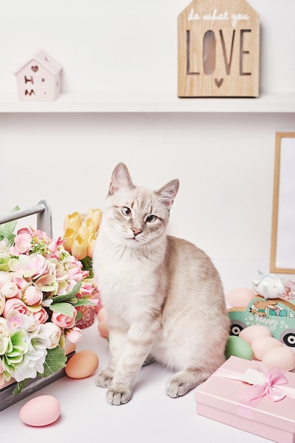 Chat de Pâques avec des œufs et des fleurs. Chaton gris assis sur la table. Carte de voeux de printemps Joyeuses Pâques. Décor de Pâques. Peintures de printemps aquarelle. Lieu de travail du designer et de l'artiste. Espace créatif.