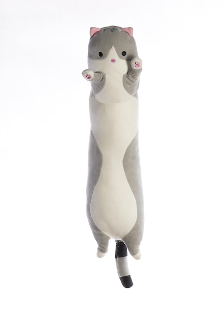 Chat en peluche isolé sur fond blanc