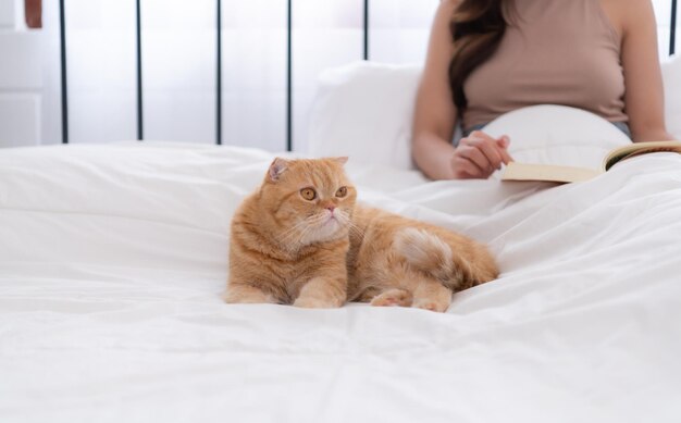 Un chat persan intelligent et son propriétaire jouant ensemble au lit