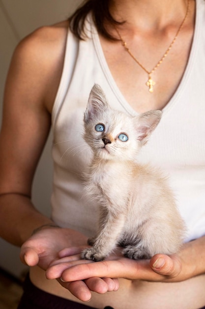 Chat. Un refuge pour chats errants. Aide aux animaux sans abri.