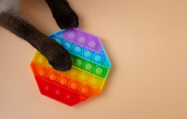 Le chat siamois pousse le populaire jouet anti-stress coloré en silicone Pop It en forme d'hexagone.