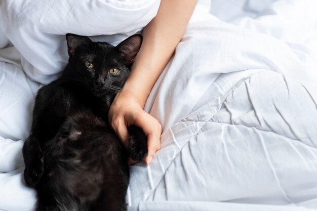 Un chat thaïlandais noir blotti contre la main d'une femme se grattant le menton sur un lit blanc.