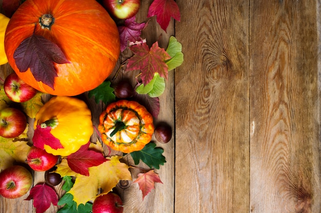 Châtaigne, pommes, citrouilles et feuilles d'érable, copie.