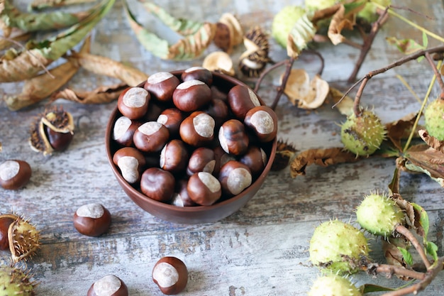 Châtaignes dans un bol sur une table en bois