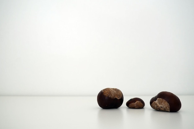 Le châtaignier Castanea est un petit genre d'arbres de la famille des hêtres Fagaceae Fruit de la châtaigne sur une surface blanche avec un fond blanc Copier l'espace