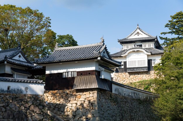 Château de Bitchu Matsuyama