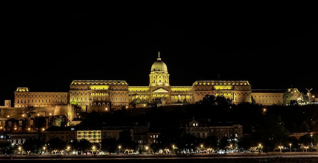 Château de Buda par le Danube illuminé la nuit à Budapest Hongrie
