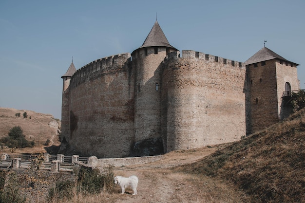 Photo un château avec un cheval blanc devant lui