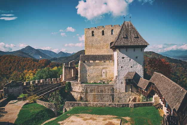 Château dans la ville de Celje