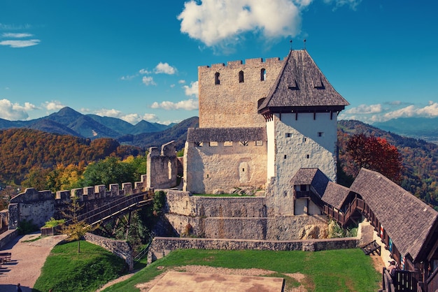 Château dans la ville de Celje