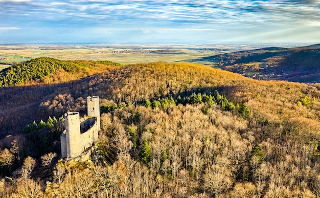 Château Du Haut-andlau Dans Les Vosges, Le Département Du Bas-rhin De La France