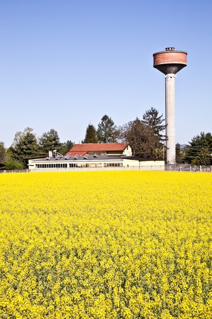 Château d'eau dans un champ de fleurs jaunes au printemps