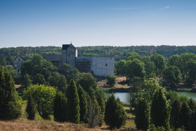 Photo un château entouré de forêt.