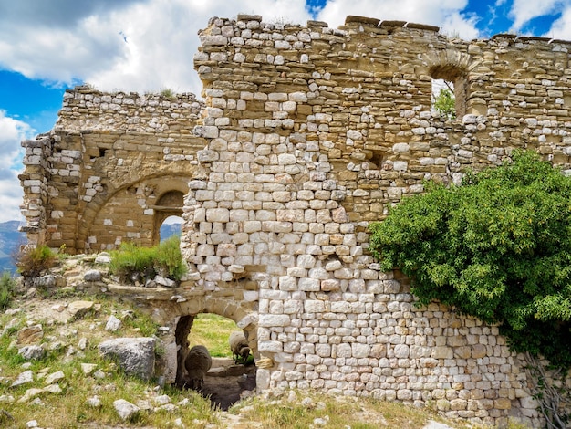 Château de Fontllonga et moutons Catalogne Espagne