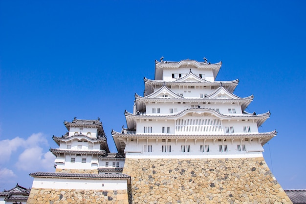 Photo le château de himeji à l’époque des fleurs de sakura va fleurir dans la préfecture de hyogo, au japon