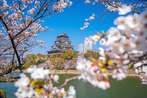 Château d'Hiroshima pendant la saison des fleurs de cerisier au Japon pendant la journée