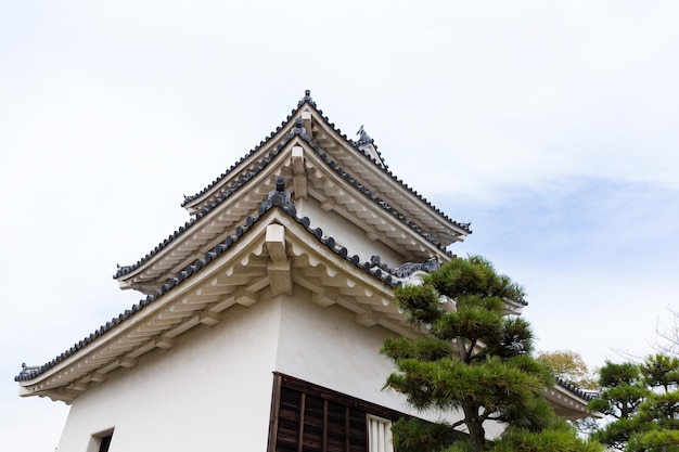 Château de Marugame