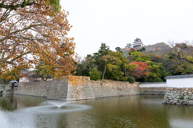 Château de Marugame