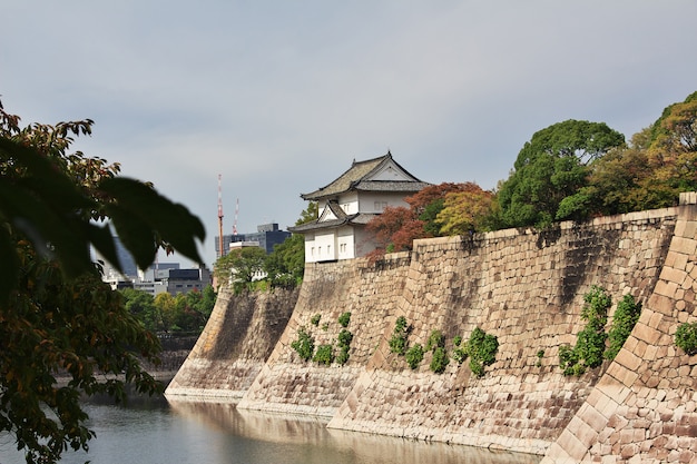 Le château médiéval à l'automne, Osaka, Japon