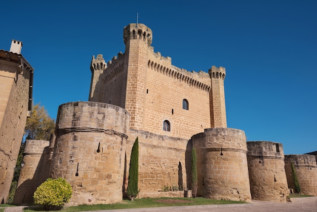 Photo château médiéval de sajazarra, la rioja, espagne.