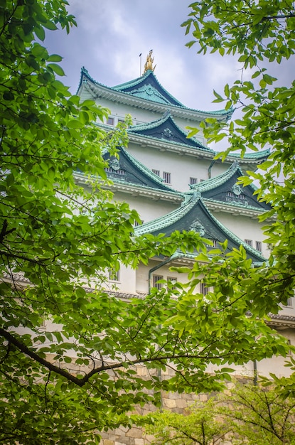 Château de Nagoya. Japon