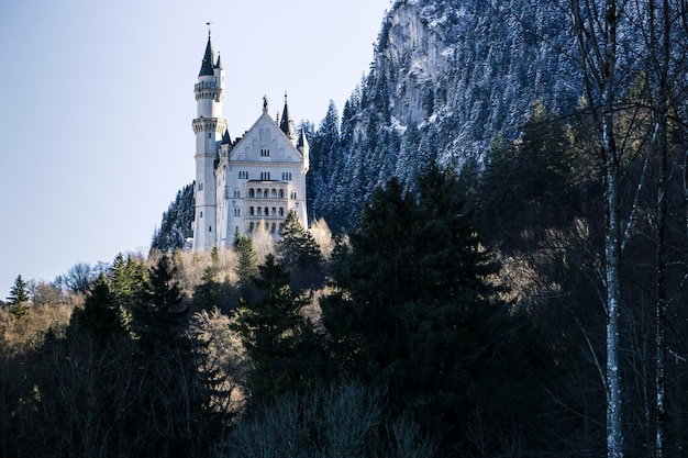 Château de Neuschwanstein à Schwangau Allemagne