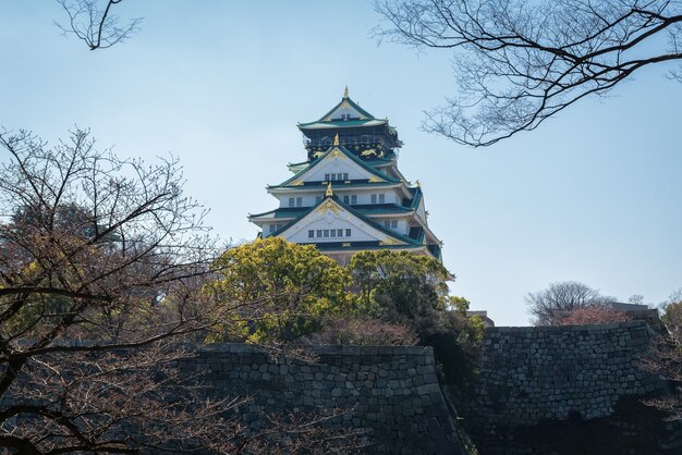 Château d&#39;Osaka à Matsumoto, Japon