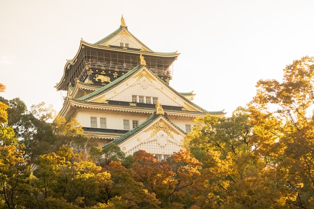 Château d'Osaka à Osaka avec des feuilles d'automne. Concept de voyage au Japon