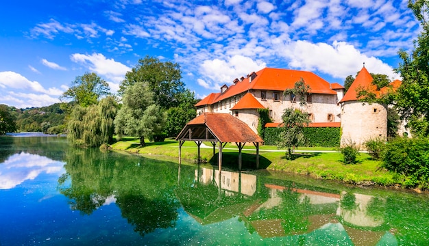 Photo château romantique sur l'île, médiévale grad otocec dans la rivière krka, slovénie