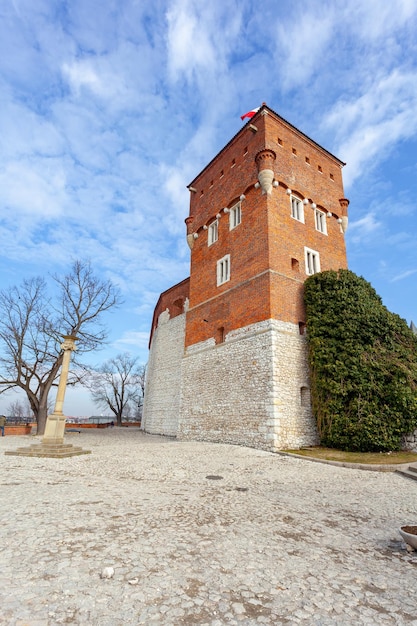 Château Royal De Wawel Et Jardin Verdoyant à L'intérieur De Cracovie Pologne