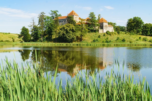 Château de Svirzh reflète dans l'eau du lac région de Lviv Ukraine
