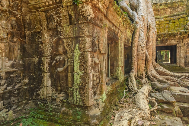 Château de Ta Phrom à Angkor Thom, Cambodge
