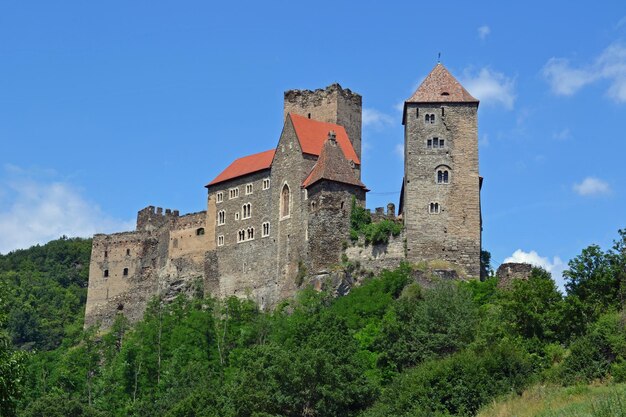 un château avec un toit rouge et un toit rouge est sur une colline avec un buisson vert