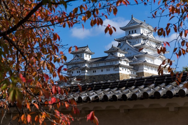 Château traditionnel de Himeji en automne